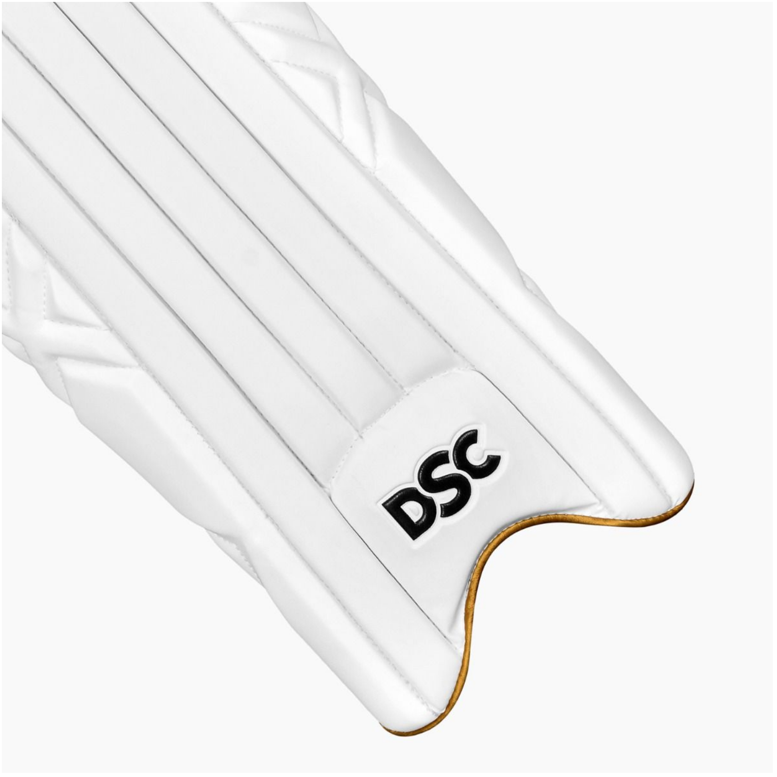 DSC Xlite 95 Wicket Keeping Legguard - Youth