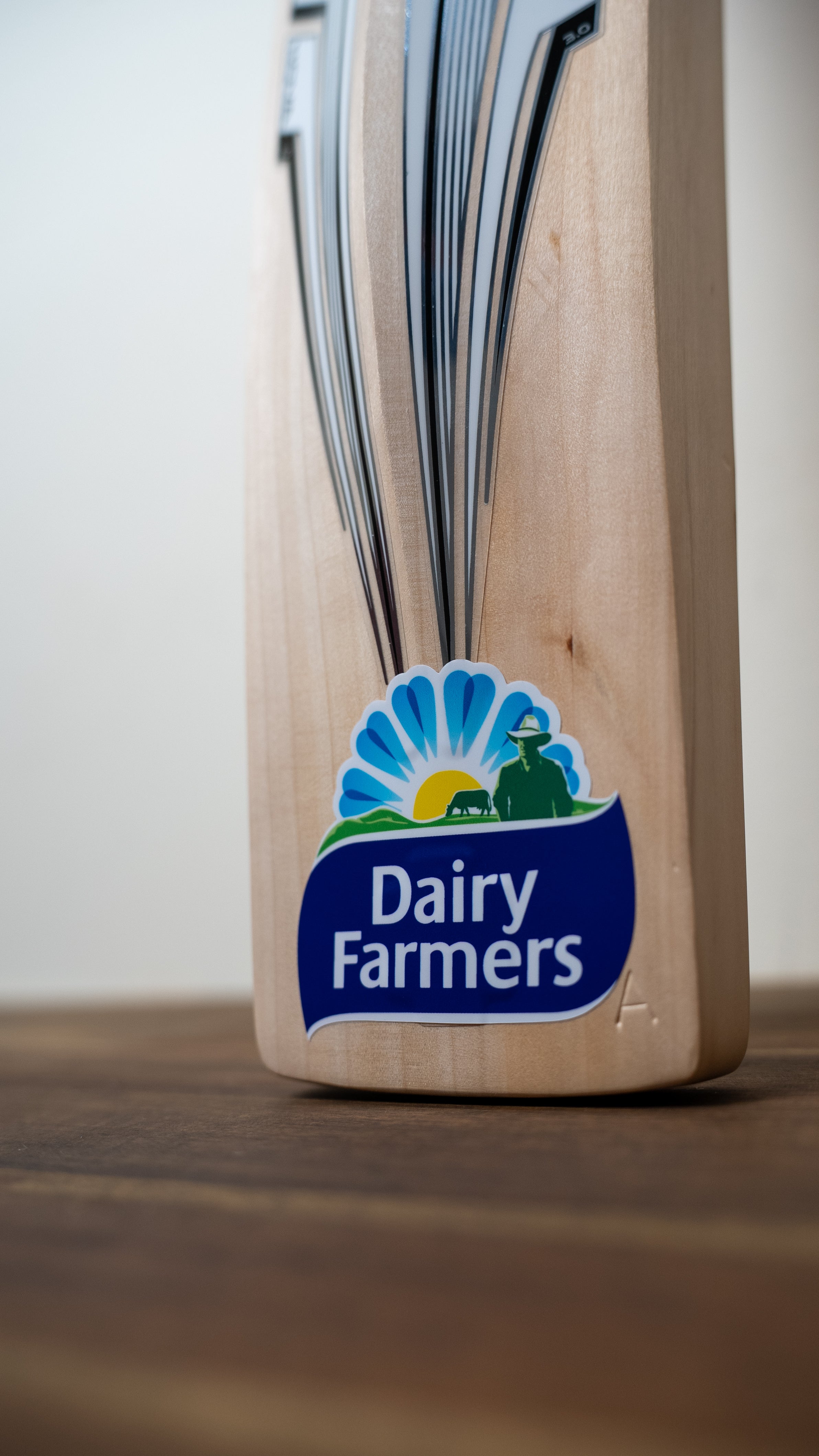 Gray Nicolls Nova Travis Head TH123 Replica Cricket Bat - Senior