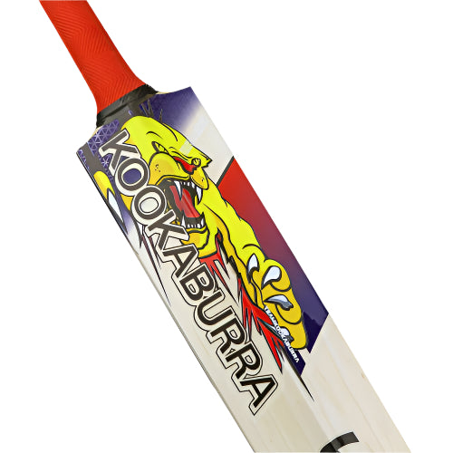 Kookaburra Beast Pro 6.0 Cricket Bat - Size 4