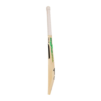Kookaburra Diablo Alex Carey Replica Cricket Bat - Adult