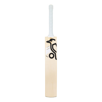 Kookaburra Ghost Pro 4.0 Cricket Bat - Small Adult