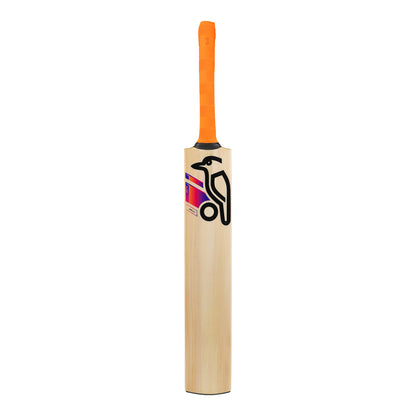 Kookaburra Aura Pro 8.0 Kashmiri Willow Cricket Bat - Size 6