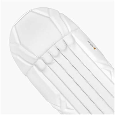 DSC Xlite 95 Wicket Keeping Legguard - Junior