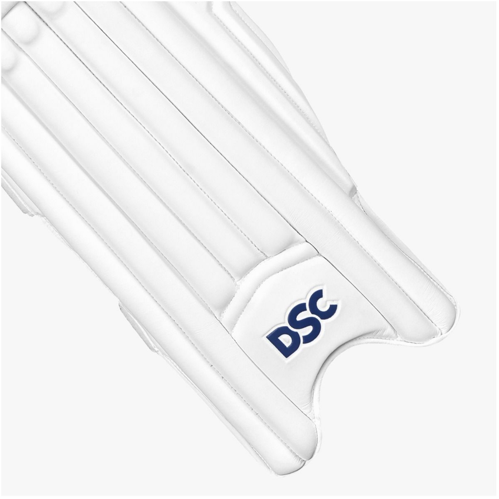DSC Pearla Players Cricket Batting Legguard - Adult