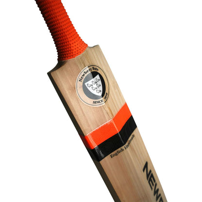 Newbery Master 100 Player Cricket Bat - Small Adult