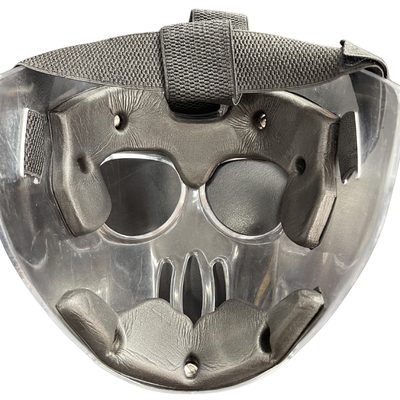 Sturdy Fielding Face Guard