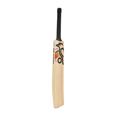 Kookaburra Diablo Pro 8.1 Kashmiri Willow Junior Cricket Bat - Size 3