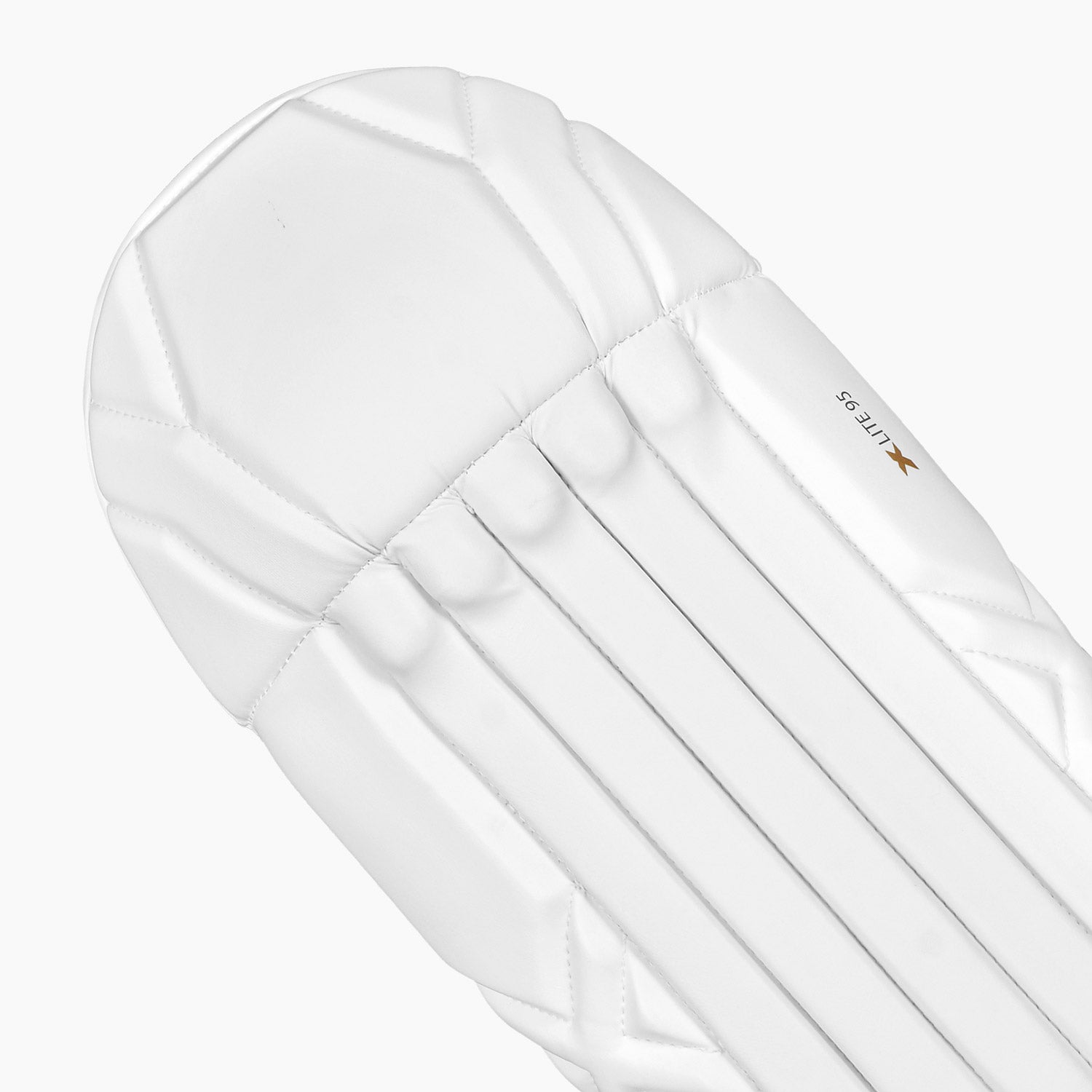 DSC Xlite 95 Wicket Keeping Pads - Adult