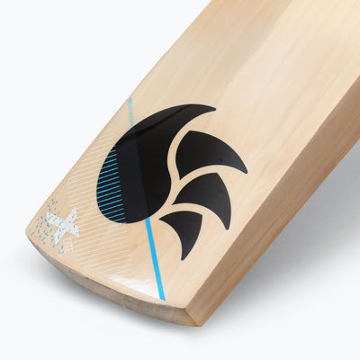 DSC Xlite 75 Cricket Bat - Adult