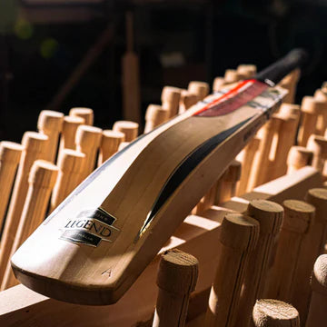 Gray Nicolls Legend Cricket Bat - Size 6