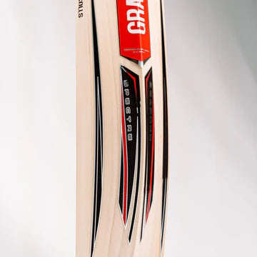 Gray Nicolls Spectre Players Edition Cricket Bat - Senior (Natural)