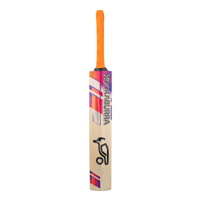 Kookaburra Aura Pro 8.0 Kashmiri Willow Cricket Bat - Senior
