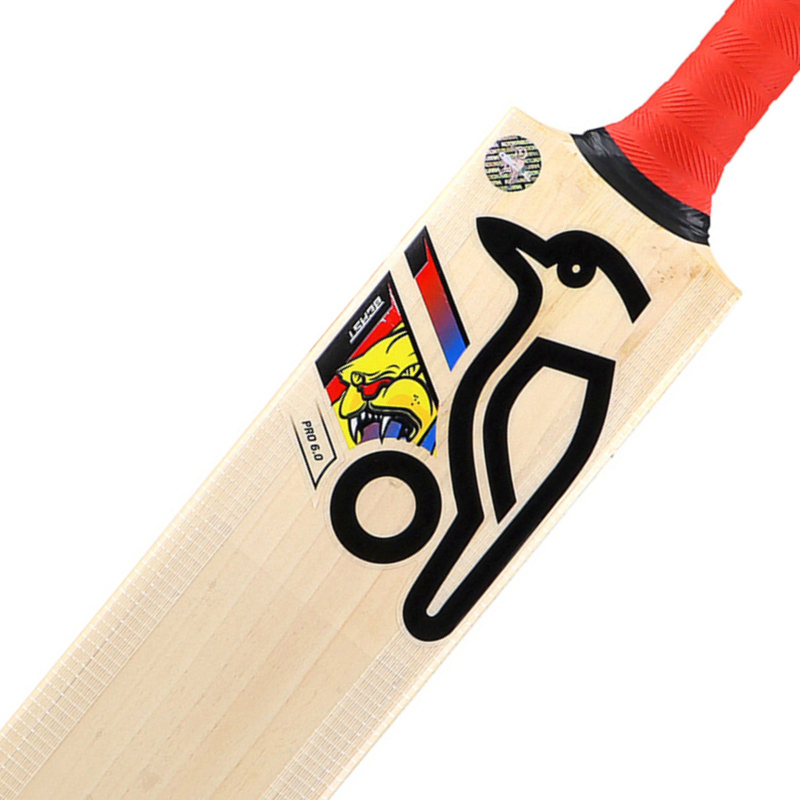Kookaburra Beast Pro 6.0 Cricket Bat - Small Adult