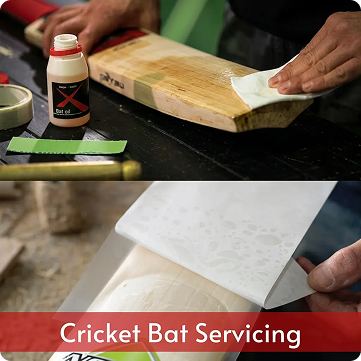 Bring Your Bat Back to Life