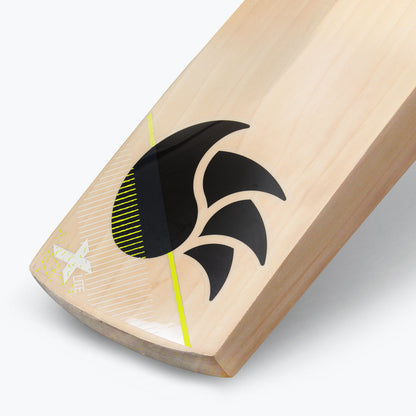 DSC Xlite 35 Cricket Bat - Senior