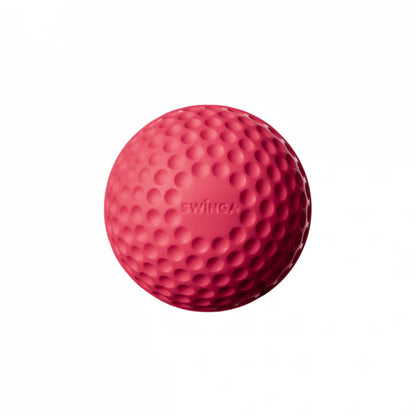 Swinga Technique Ball 146G