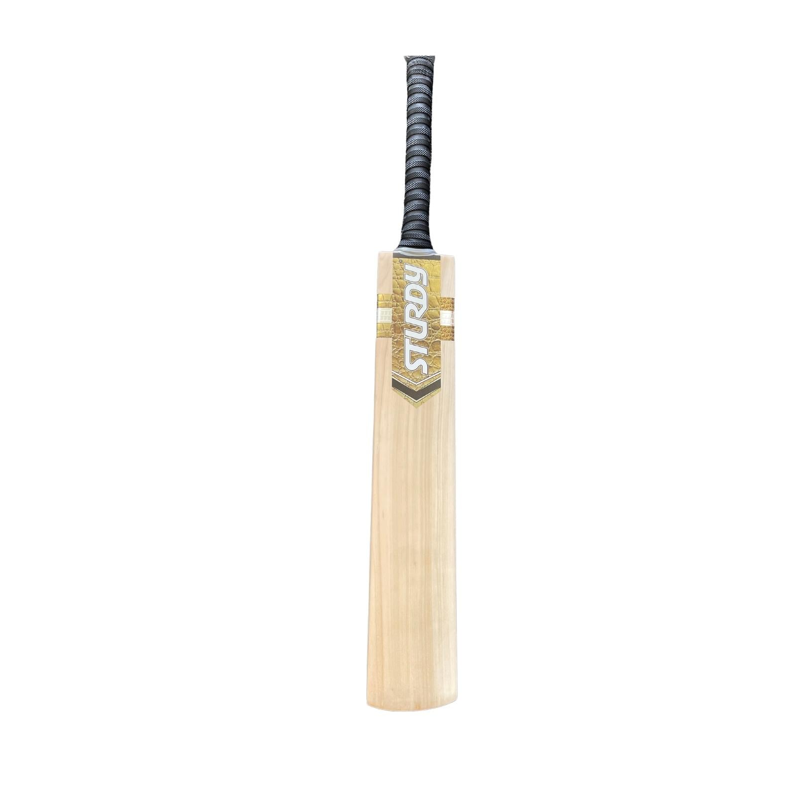 Sturdy Kashmir Willow Cricket Bat - Senior