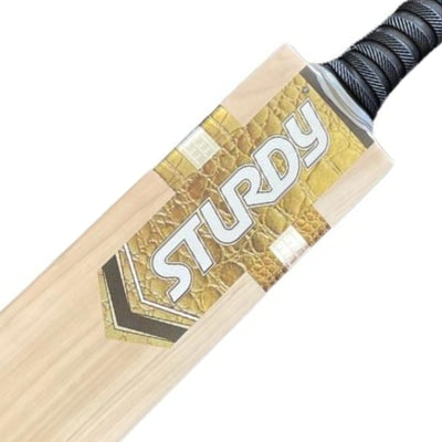 Sturdy Kashmir Willow Cricket Bat - Adult