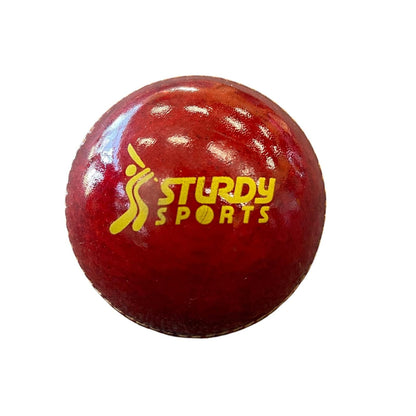 Sturdy Swing Leather Ball