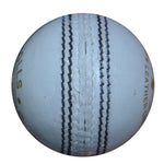 Gray Nicolls Shield - 2 piece Leather Ball (Senior)