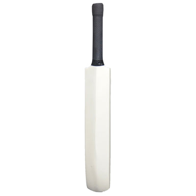 Sturdy Miniature Autograph Bat